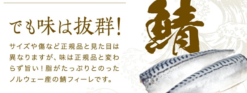 �܂���� �����I�t�B�[�� 2kg�O�� �ʗⓀ ����
���T�C�g